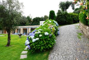 "Spacious villa in Caniçada with year-round private pool"