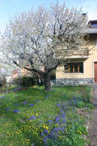 Chalets Chalet de 8 chambres avec sauna jardin et wifi a Briancon a 1 km des pistes : photos des chambres