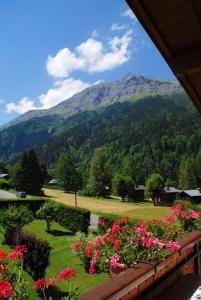 Appartements Appartement de 2 chambres avec jardin amenage et wifi a Les Contamines Montjoie a 2 km des pistes : photos des chambres