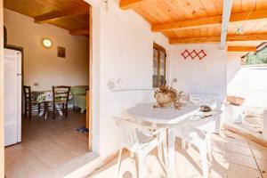Charming apartment in Pisciotta, 37 m² with terrace