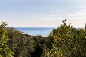 Charming apartment in Pisciotta, 37 m² with terrace