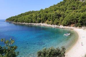 Charming Apartment with Sea View, Gdinj, 70 m², Garden