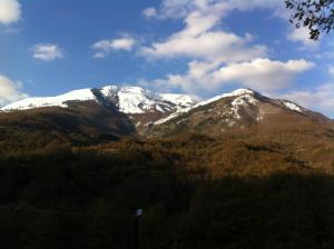 Comfortable Chalet in Giarola with Mountain View