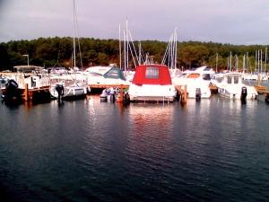 Maisons de vacances Bungalow confortable a Gastes + Piscine : photos des chambres