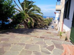 Charming Apartment in Calasetta - 38 m² - Parking img9