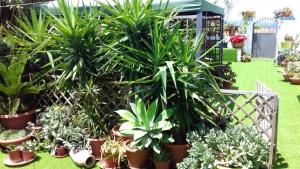 Charming Apartment in Calasetta - 38 m² - Parking img12