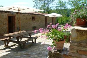 Spacious Apartment in Massa Marittima with Shared Pool