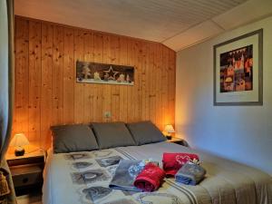 Appartements Appartement d'une chambre a Les Carroz a 400 m des pistes avec jardin amenage et wifi : photos des chambres