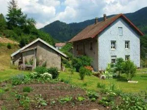 Appartement charmant à Plancher-les-Mines, cheminée, 90 m² - 勒皮