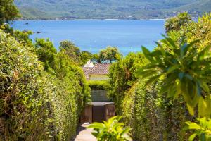 Maisons de vacances Maison de 2 chambres a Isolella Pietrosella a 100 m de la plage avec vue sur la mer jardin clos et wifi : photos des chambres