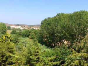 Welcoming House in Aljezur