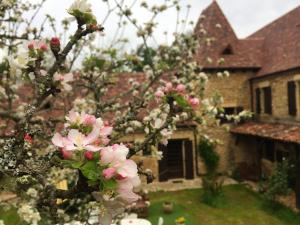 Maisons de vacances Maison charmante en campagne pres de Marquay avec piscine privee : photos des chambres