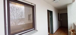 BodenSEE Apartment Friedrichshafen Berg