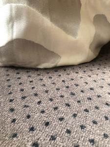 Hotel Corona -Rodier-