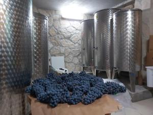 Apartman Genova Imotski