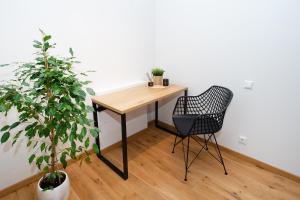 Lossi 32 Luxury Apartment with Sauna