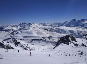 Appartements Les Iris T2 station Alpe Huez : photos des chambres