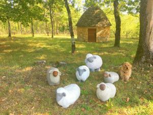 Maisons de vacances Gites Sibemol : photos des chambres