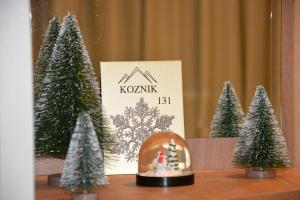 Apartman SREBRNA PAHULjA-Konaci