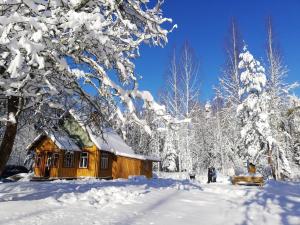 Nedsaja metsamaja ja saun
