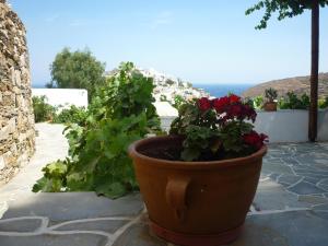 Agnanti Sifnos Greece