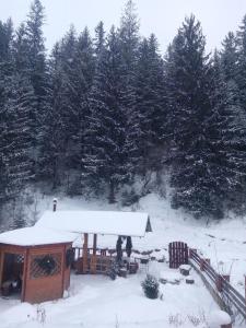 Karpaty Gutsulska Sadyba