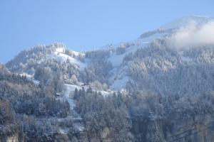 Accommodation in Dallenwil