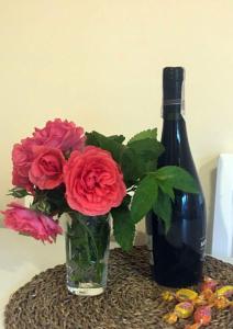 Domek i Apartamenty Zacisze