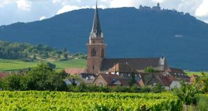 Appartements Cocon de caractere au coeur des vignes Alsaciennes : photos des chambres