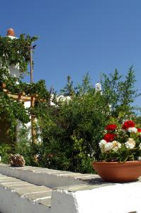 Agnanti Traditional Sifnos Greece