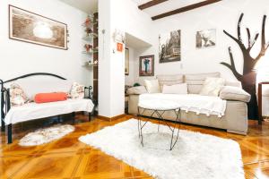 Modern Apartment in the Heart of Split with Private Garden