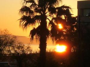 Studio confort à Hyères - 20 m² avec barbecue et terrasse