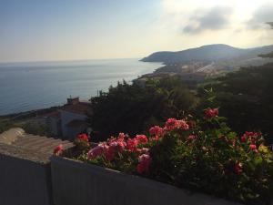 Modern Apartment in Castelsardo with Sea View img20
