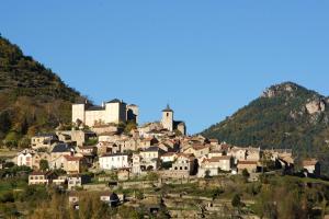 Maisons de vacances Maison de 2 chambres a Mostuejouls : photos des chambres