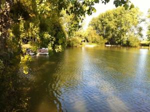 Villas Villa de 4 chambres avec vue sur le lac jardin clos et wifi a Courtenay : photos des chambres