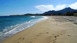 Appartements Appartement spacieux a Algajola : photos des chambres