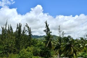 Modern Apartment with Garden and Lake View in Riambel