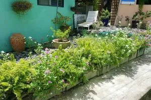 Maison Charmante, Schoelcher, Terrasse - Schoelcher