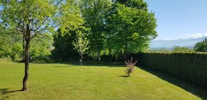 Bed & Breakfast Paradiso