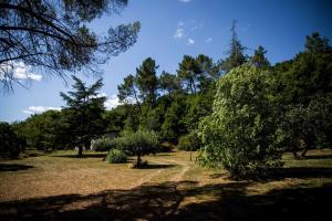 Maisons de vacances Maison de caractere au coeur du Tarn : photos des chambres