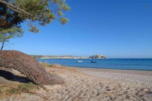 Appartements L'orangeraie Calvi centre a 300m de la plage et du port parking prive : photos des chambres