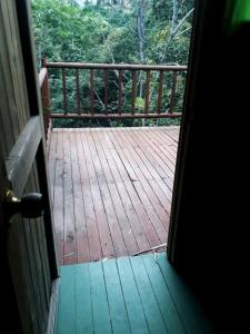 Miradores Del Oso Perezoso