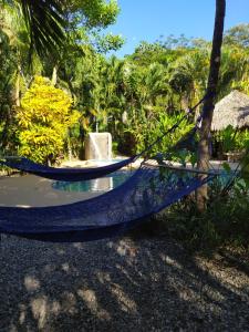Indigo Yoga Surf Resort