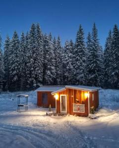 Кемпинг Лесная Поляна - Рускеала