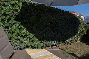 Appartements Mare appart avec jardin et bbq vue mer et montagne plage et port a 2 pas : photos des chambres