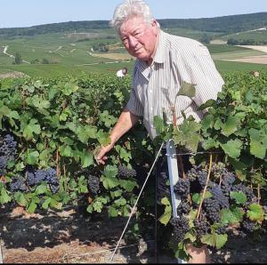 Maisons de vacances FLORESSENS EN CHAMPAGNE Terrasse privative sur le vignoble : photos des chambres