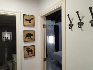 Moya, Senderos y naturaleza