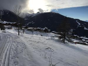 Le Petit Mont Blanc photo 15