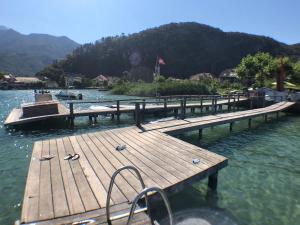 Appartements Studio les Pieds dans L'eau au bord du lac d'Annecy : photos des chambres