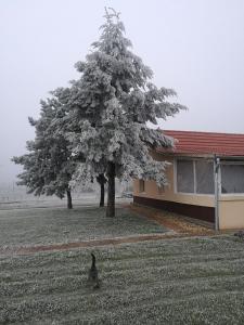 Birs Vendégház